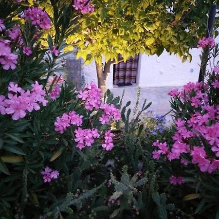 Cuevas Los Coloraos - La Residencia Villanueva de las Torres Exteriör bild
