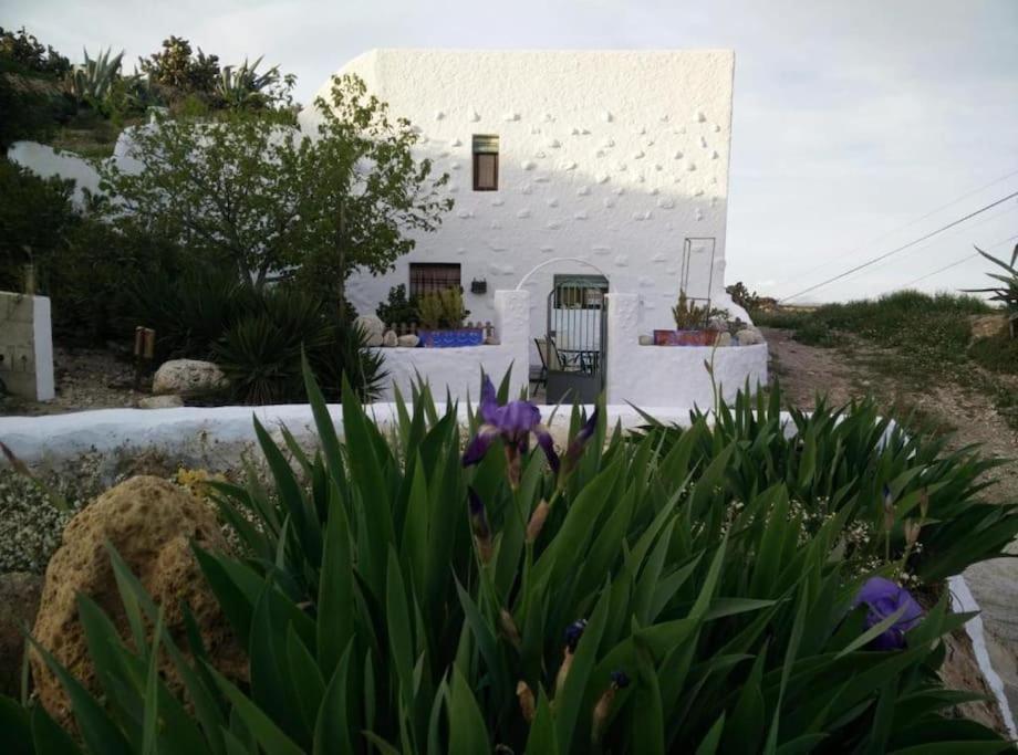 Cuevas Los Coloraos - La Residencia Villanueva de las Torres Exteriör bild